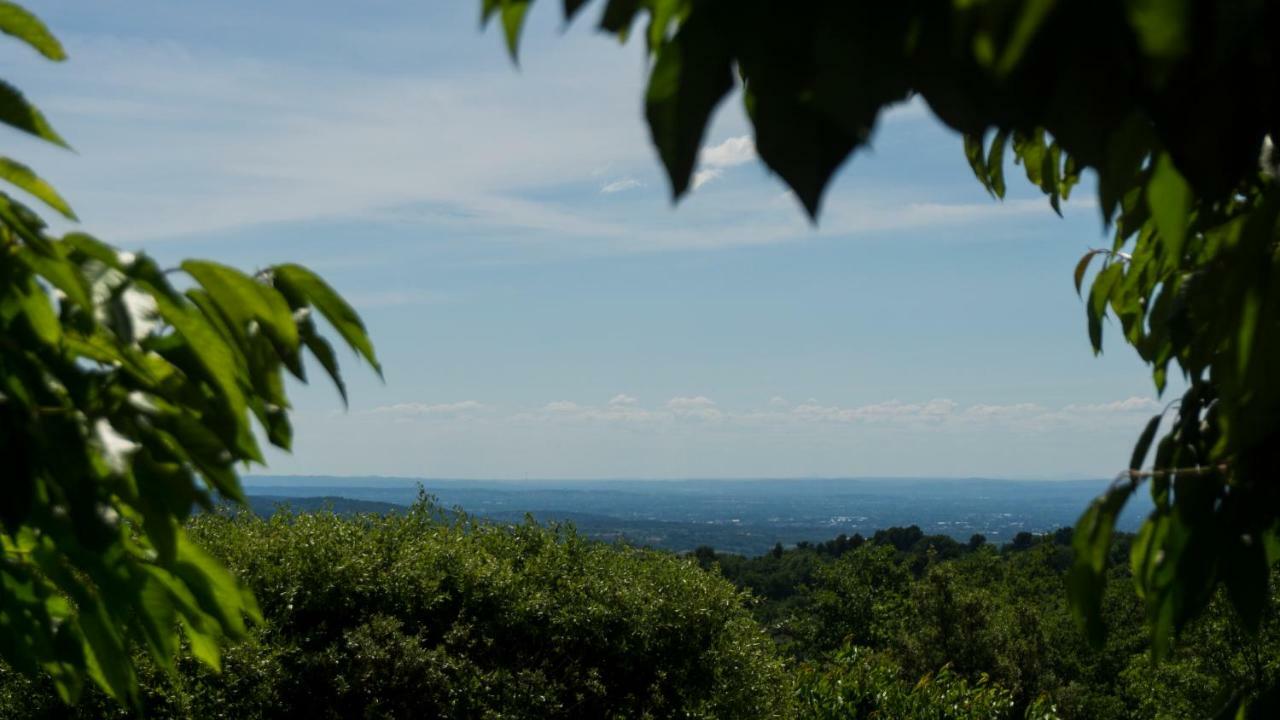 Les Cerisiers De Stella Villa Blauvac Exterior photo